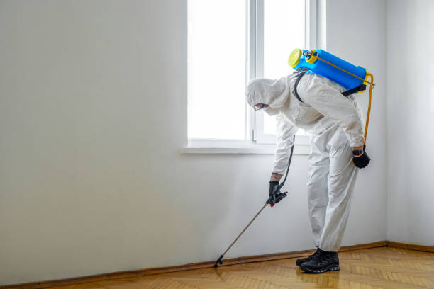 Trusted Lemmon Valley, NV Pest Control Experts